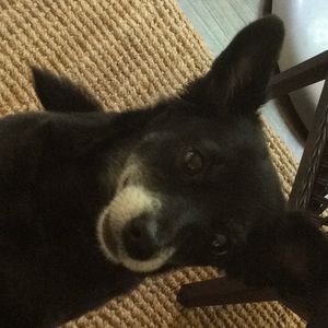 Meet your Posher, Minerva